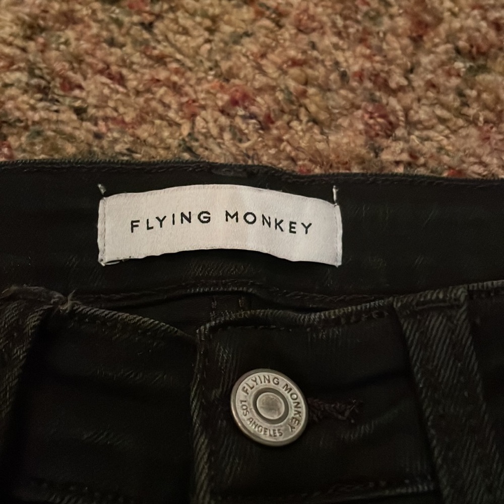 Flying Monkey - image 2